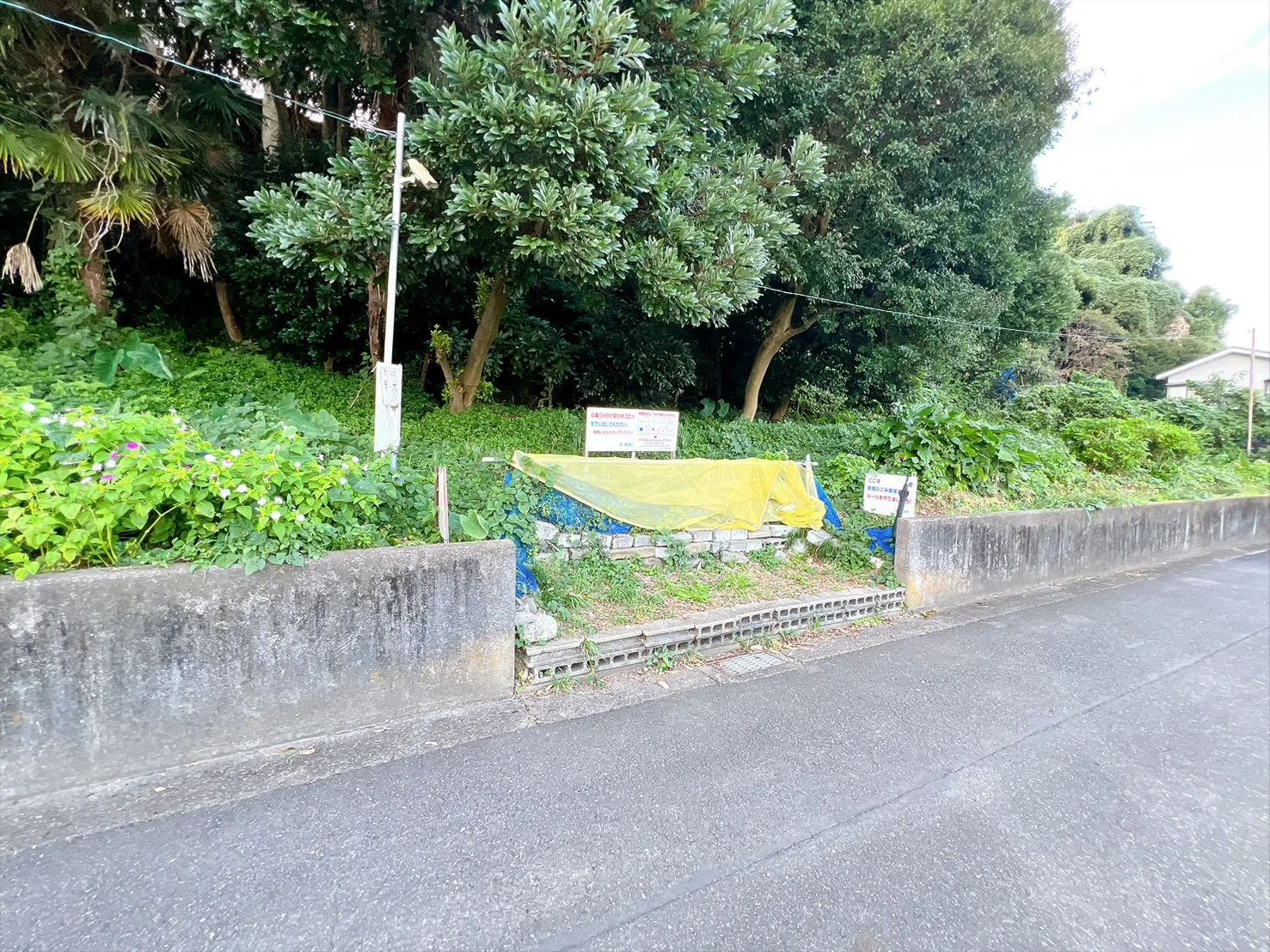 清水区馬走 補足写真 16